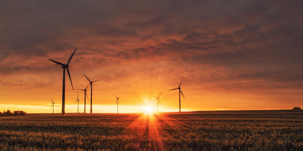 Paisaje de atardecer en un huerto y energia renovable - 